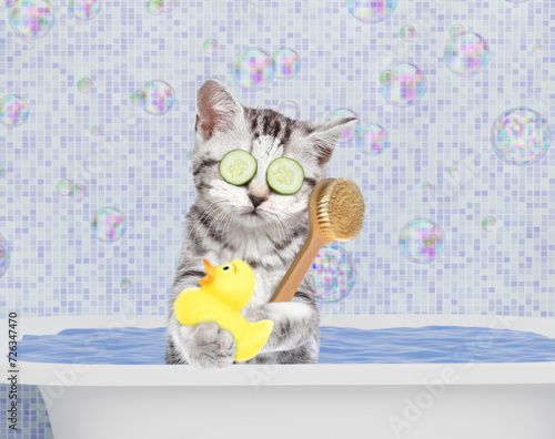 Cute kitten with pieces of cucumber on it eyes and with cream on it face takes the bath at home with rubber duck and shower brush