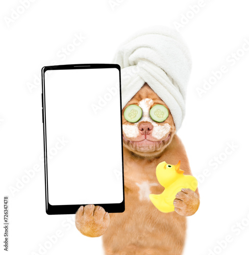 Mastiff puppy with towel on it head with pieces of cucumber on it eyes and with cream on it face holds  rubber duck and big smartphone with white blank screen in it paw. isolated on white background