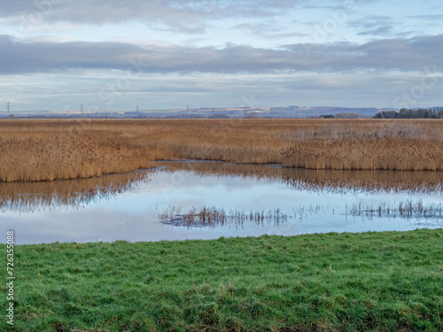 Reedbed and wetlands at Blacktoft Sands, East Yorkshire, England photo