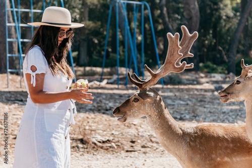 Young woman feeding deer in fallow deer sanctuary on Badija island near Korcula  Croatia