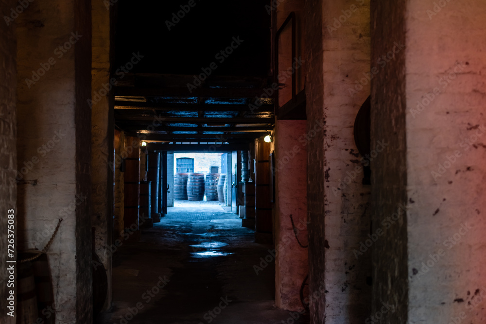 Rows of wooden wine barrels in dark brick warehouse Rows of wooden wine barrels in dark brick warehouse