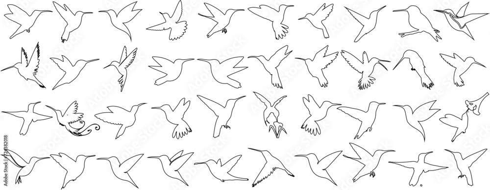 Minimalist hummingbird line art on white background. Ideal for elegant wallpaper, fabric, wrapping paper designs. hummingbird outline depict various flying poses