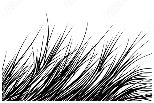 Black grass sketch in vintage style on white background. Hand drawn vector illustration.