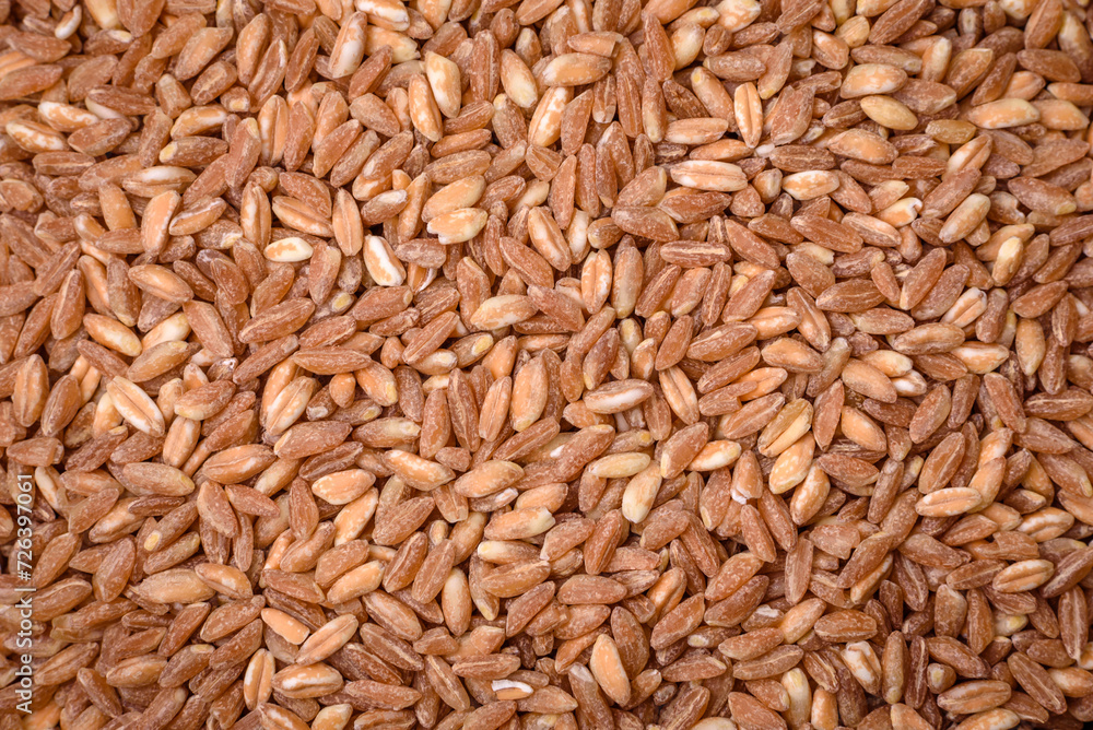 Large grains of wheat porridge are brown in color when raw