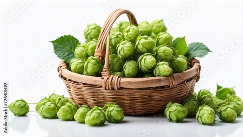 Basket with fresh green hops on white background.