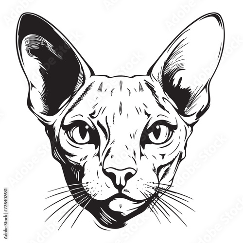 Vector cat of breed the Sphinx head is symmetrical sketch graphics black and white vector illustration