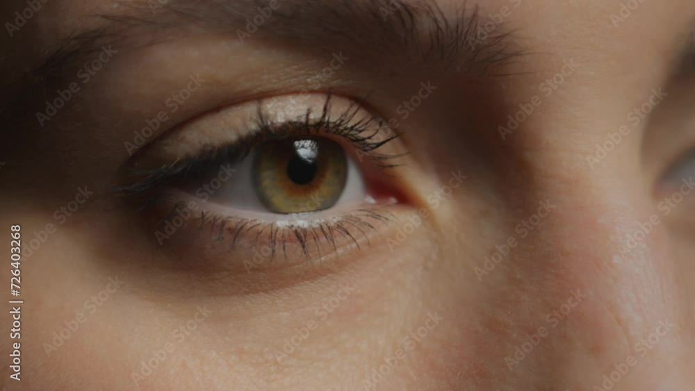 Eye. Macro photography. Brown eyes. Female facial features. Girl quickly studying information with a glance. Shooting one eye. Makeup. Close-up. Detail. Close-up of an eye looking at a laptop screen Eye. Macro photography. Brown eyes. Female facial features. Girl quickly studying information with a glance. Shooting one eye. Makeup. Close-up. Detail. Close-up of an eye looking at a laptop screen