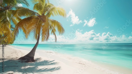  tropical beach and palm tree summer nature background