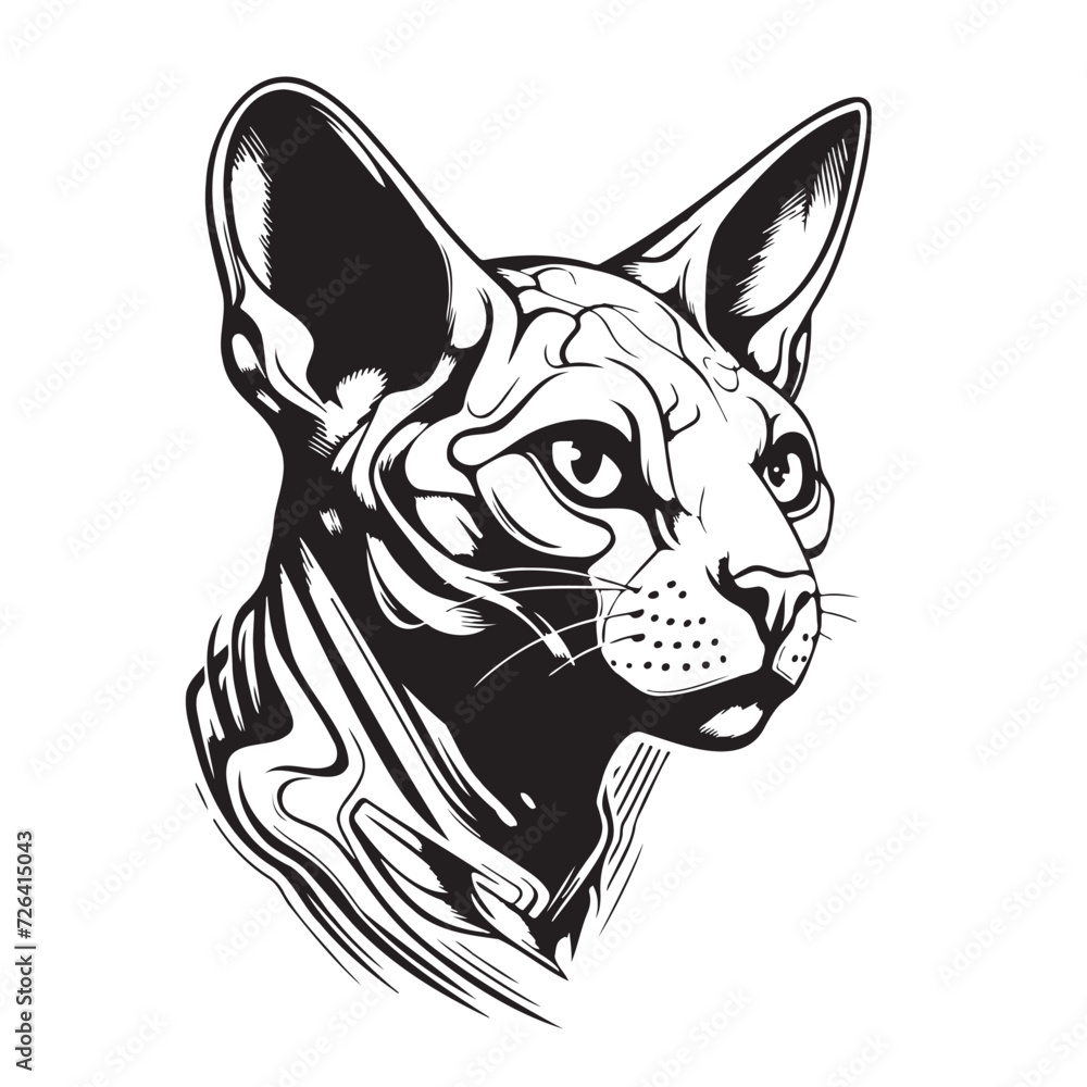 Sphynx cat head sketch hand drawn in engraved style Vector