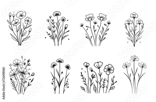 Set of wild flowers and leaves. Trendy botanical elements. Hand drawn line branches and blooming.