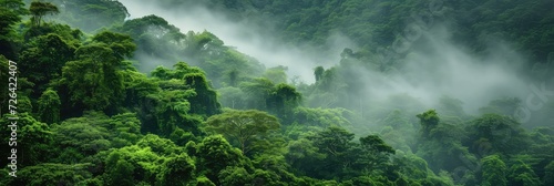 Panoramic aerial view of a jungle landscape at sunrise.