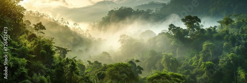 Panoramic aerial view of a jungle landscape at sunrise.
