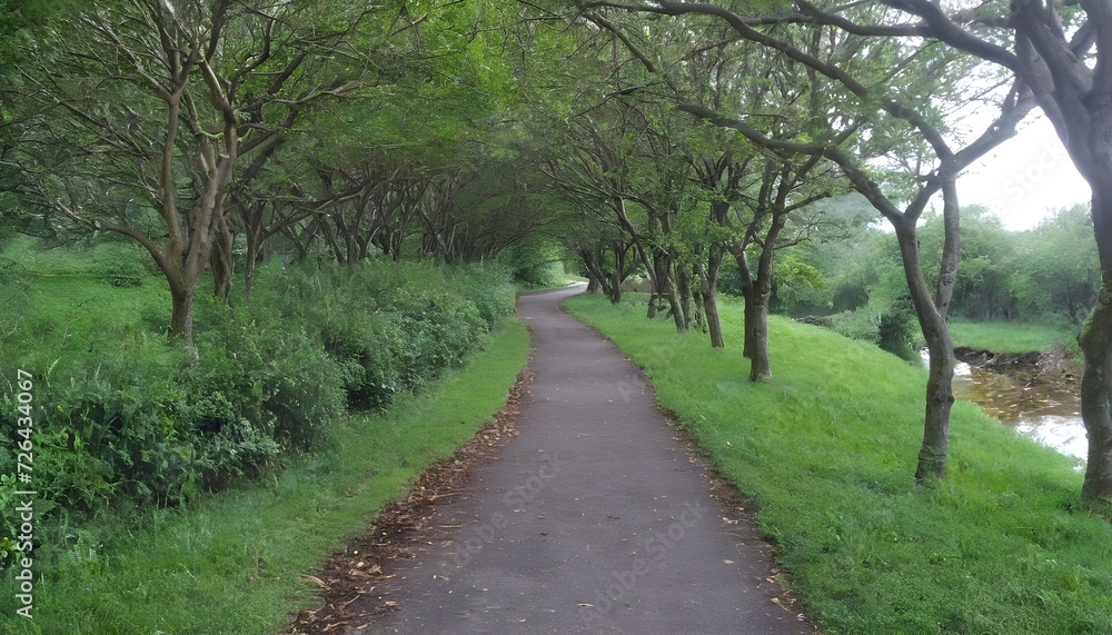 Naklejka premium path in the forest