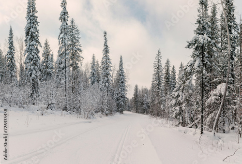 Beautiful natural environment with road for traveling, scenic picture of winter season forest with frost and snow.