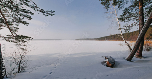 Winter snowy landscape with forest and field.