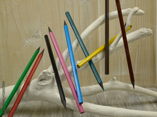 Foto Colored wood pencils are on the white decorative stand made of tree branch in it