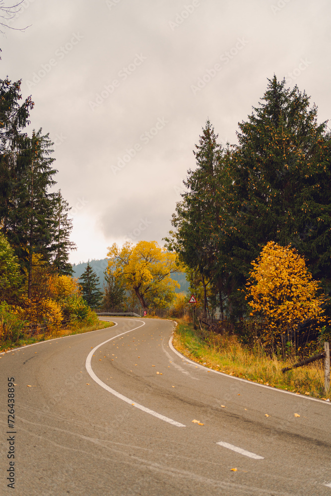 Fototapeta premium road in autumn