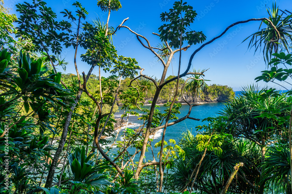 lonely beach in jungle on the pacific coast on big island in hawaii
