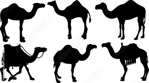 Set of Camels Silhouette Bundle vector illustration design photo