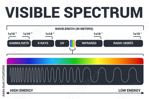 Visible light diagram. Color electromagnetic spectrum, light wave frequency. Educational school physics vector background. Illustration of spectrum diagram rainbow, infrared and electromagnetic