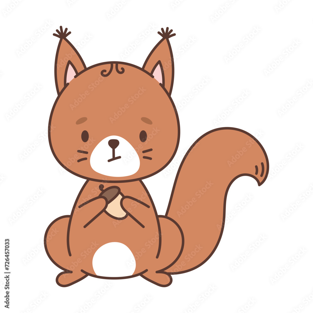 Obraz premium Cute squirrel holding an acorn