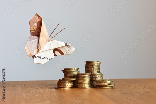 Money butterfly made of banknote flies over euro money pile and coins. Money income, household budget, finances, tax return, bill, pay salary, shares, profit concept of money and wealth