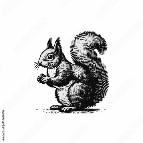 Digital silhouette of a squirrel black | Realistic illustration of a squirrel