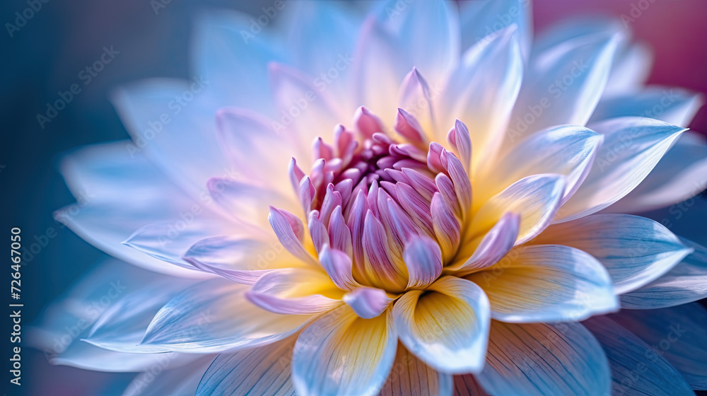 The Subtle Beauty of a Multicolored Blossom - Generative AI The Subtle Beauty of a Multicolored Blossom - Generative AI