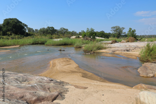 Afrikanischer Busch - Krügerpark - Sand River / African Bush - Kruger Park - Sand River / photo