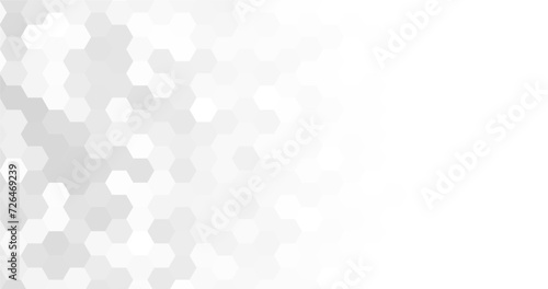 abstract modern white and grey elegant hexagons background