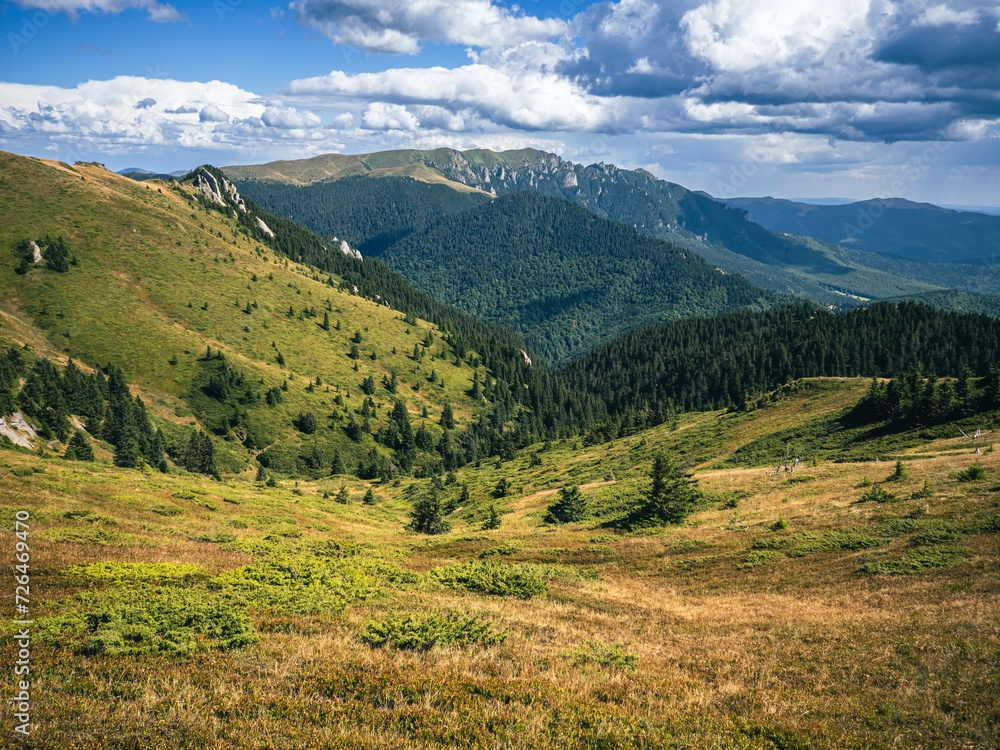 Beautiful alpine valley in Carpathian mountains with pine forest