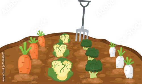 vegetables in garden on white background