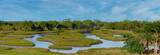A panoramic view of the intertidal coastal habitat of Cockroach Bay Nature Preserve in Hillsborough County, Florida, a coastal ecosystem restoration along Tampa Bay.  
