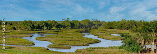 A panoramic view of the intertidal coastal habitat of Cockroach Bay Nature Preserve in Hillsborough County, Florida, a coastal ecosystem restoration along Tampa Bay.   photo