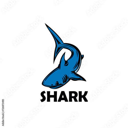 shark logo vector. blue shark logo design