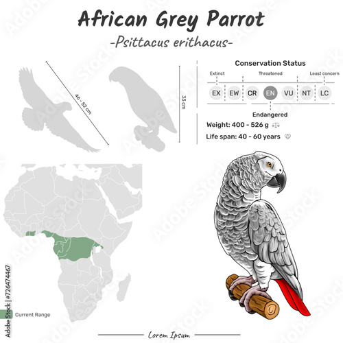 Psittacus erithacus African Grey Parrot geographic range