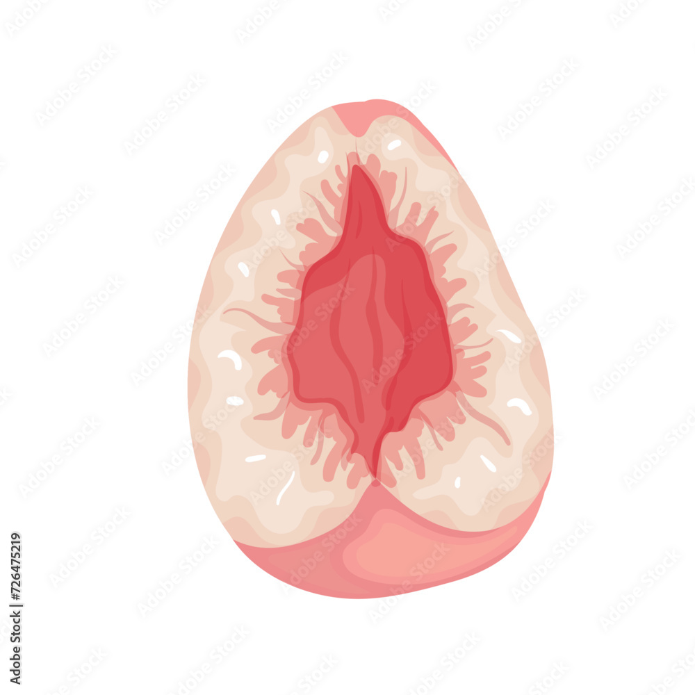 Juicy, ripe slice, piece of peach, nectarine fruit. Vector graphics. Juicy, ripe slice, piece of peach, nectarine fruit. Vector graphics.