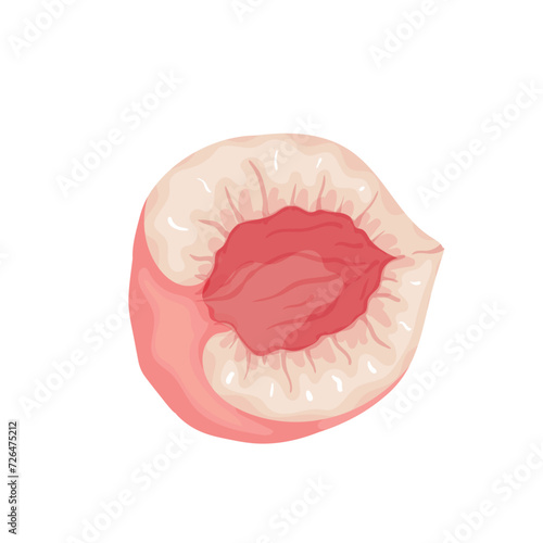 Juicy, ripe slice, piece of peach, nectarine fruit. Vector graphics.
