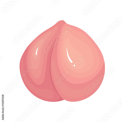 Juicy, ripe peach, nectarine fruit.Vector graphics.