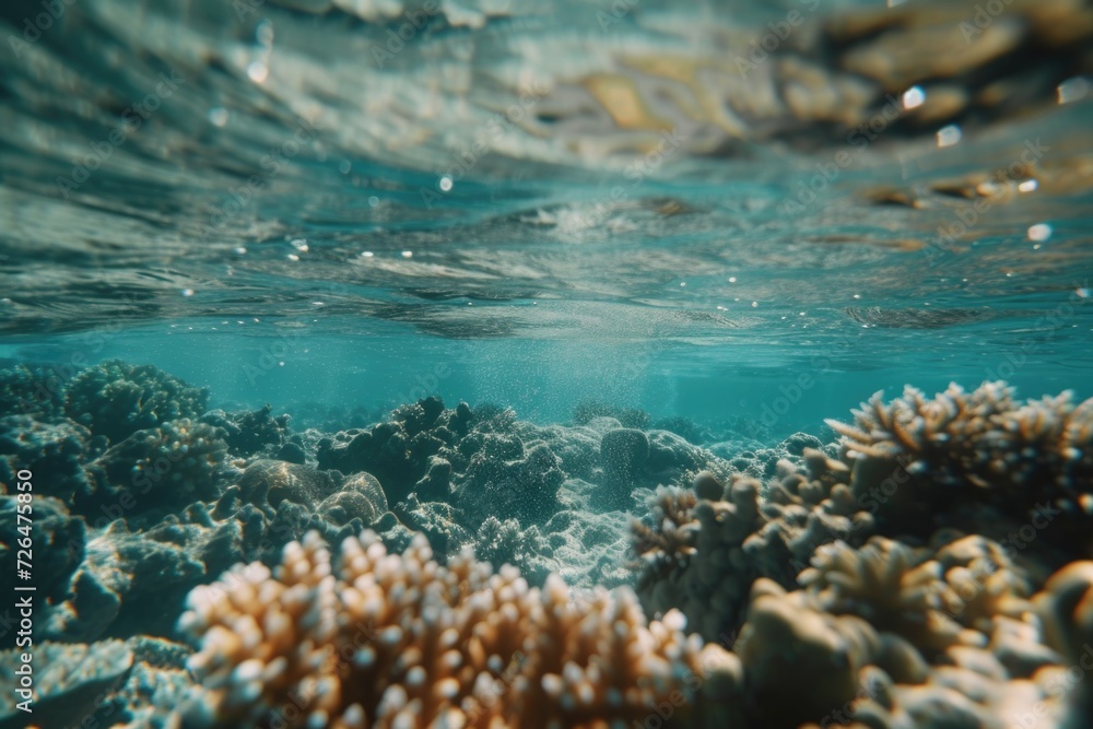 Fototapeta premium An underwater view of a coral reef in the ocean. Perfect for marine life enthusiasts or educational materials about coral reefs