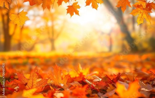 Orange fall leaves in park, sunny autumn natural background 