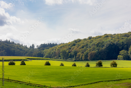 Summer landscape with view of slope green grass meadow and the big tree in forest under blue sky, The terrain of hilly countryside in Zuid-Limburg, Limburg is the southern provinces of the Netherlands