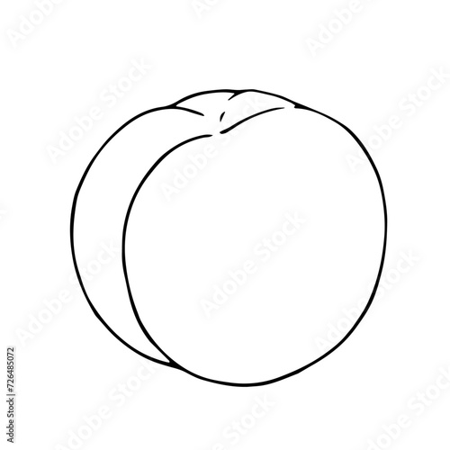 Linear sketch, outline of peach, nectarine fruit.Vector graphics.