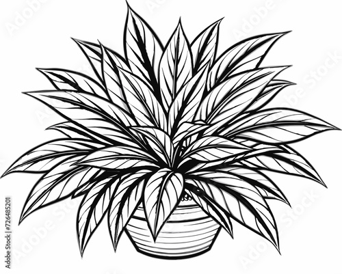 plant herb houseplant room plant vector flower seedling grass greenery perennial sprout
