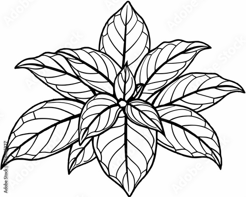 plant herb houseplant room plant vector flower seedling grass greenery perennial sprout