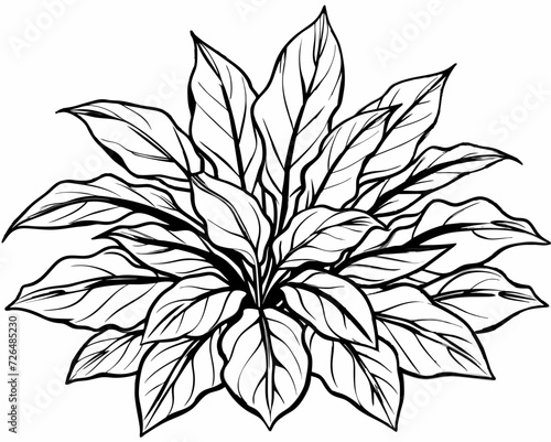 plant herb houseplant room plant vector flower seedling grass greenery perennial sprout