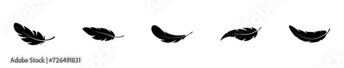 Feather icon set. Bird feather silhouette symbol. Plumelet collection isolated. Vector illustration.