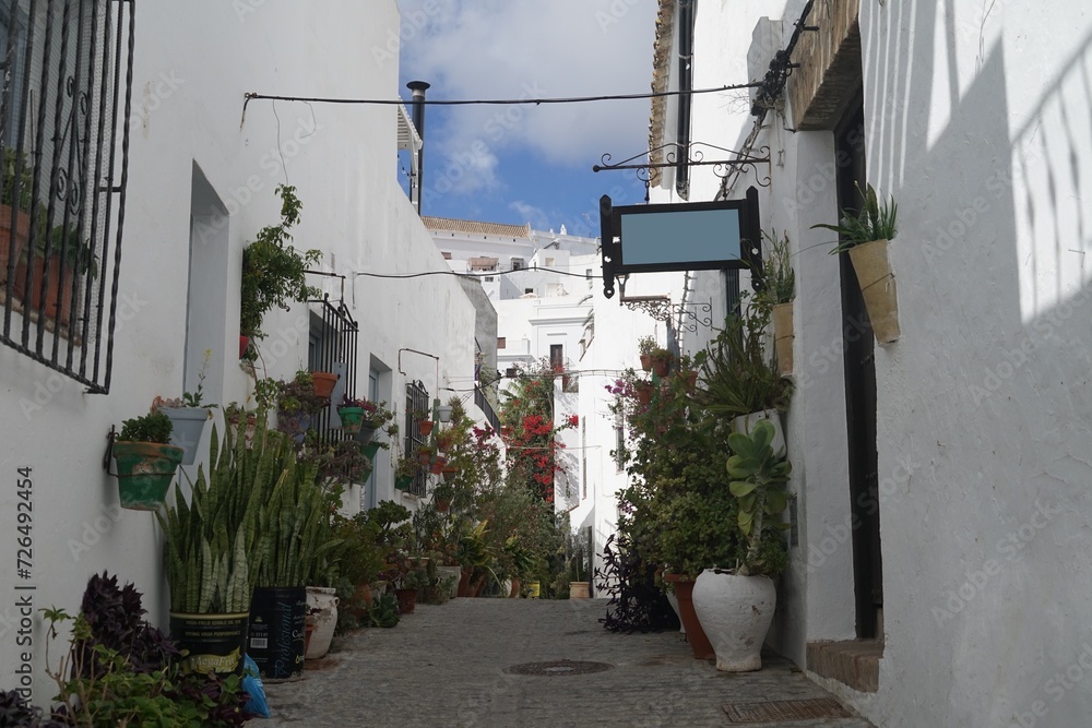 Fototapeta premium narrow alley with many flowers in plant pots on the ground and at the walls in the old town of Vejer de la Frontera, Costa de la Luz, Andalusia, Spain