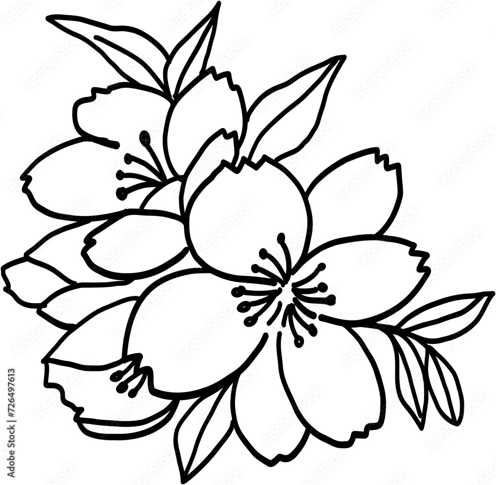 Doodle freehand drawing of cherry blossom flowers. Doodle freehand drawing of cherry blossom flowers.