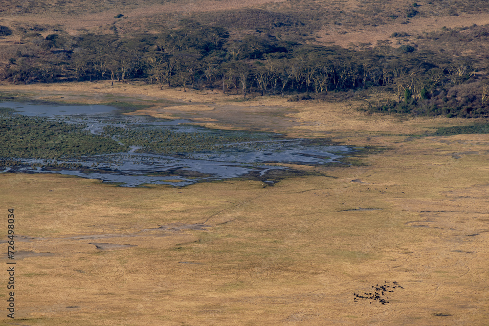 View into the Ngorongoro Crater from the viewpoint with a herd of buffalo